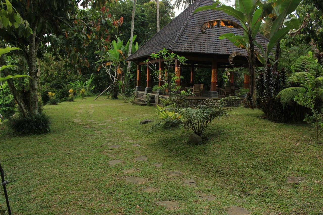 Saridevi Ecolodge Desa Desa Jatiluwih Exteriör bild