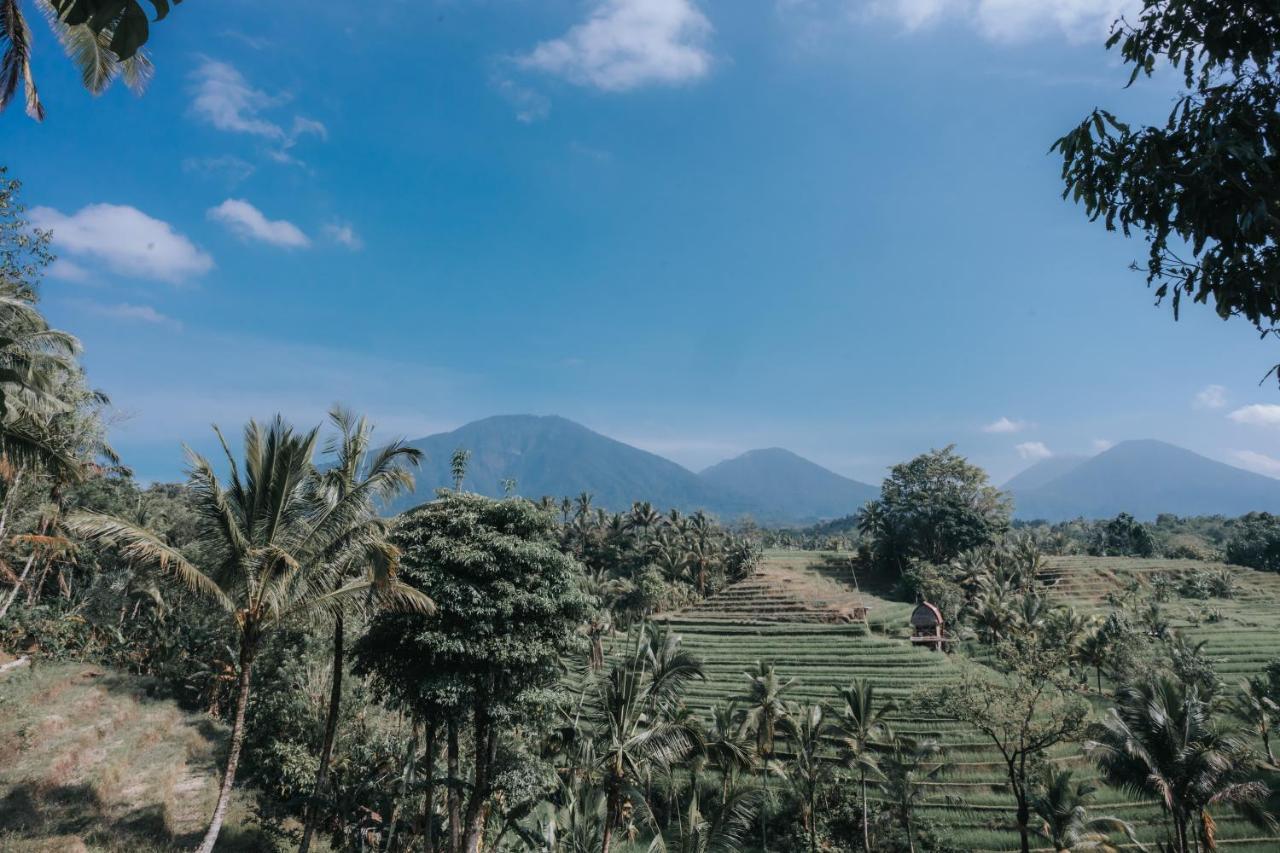 Saridevi Ecolodge Desa Desa Jatiluwih Exteriör bild